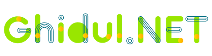 Ghidul.NET